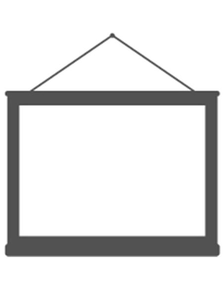 Soportes y Pantallas de Proyección