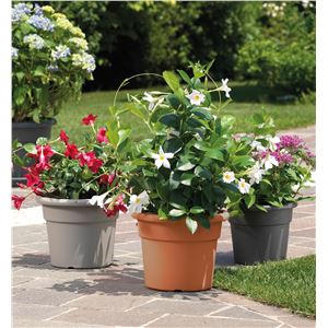 MACETA REDONDA DIAMETRO 16CM ANTRACITA ARTPLAST - CIL016CBAN-1